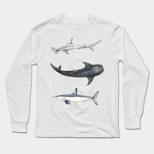 Shark trio: hammerhead shark, mako shark and whale shark Long Sleeve T-Shirt